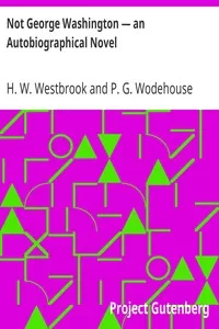 Not George Washington â€” an Autobiographical Novel