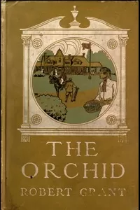 The Orchid