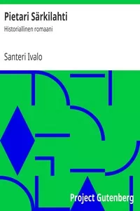 Pietari SÃ¤rkilahti: Historiallinen romaani