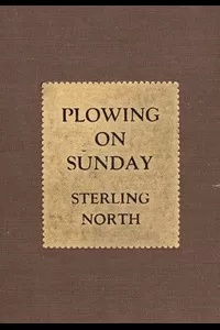 Plowing On Sunday