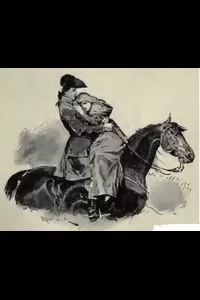 The Red Cockade