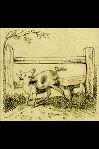 The Remarkable Adventures of an Old Woman and Her Pig