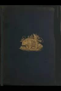 The Romance of the Woods