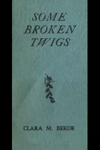Some Broken Twigs