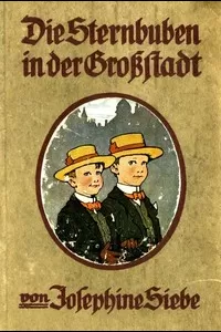Die Sternbuben in der GroÃŸstadt: Eine heitere Geschichte