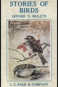 Stories of Birds