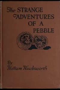 The Strange Adventures of a Pebble