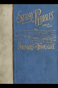 Stray Pebbles from the Shores of Thought