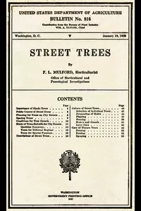 Street Trees