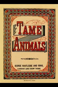 Tame Animals