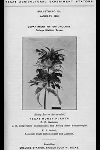 Texas Honey Plants
