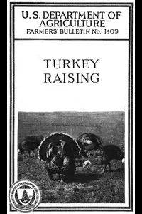 Turkey Raising