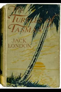 The Turtles of Tasman