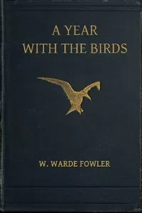 A Year with the Birds